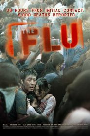 The Flu